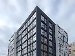 ������ 1-��������  �����������, ���������