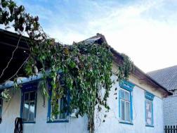 ������     ����� �������, ��������