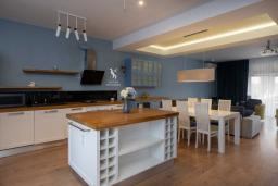 ������ 5-��������    �������, ����������