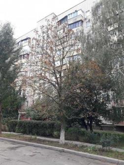 ������ 1-��������  ���, ��������� ��., 26, ������������