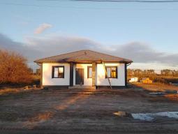 ������ 1-�� �����������  ���� , ���������