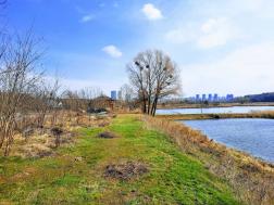 ������     ���, ���������� ��., ������������