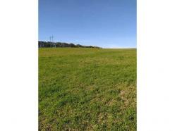 ������     ��������, ����