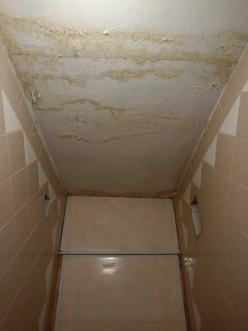 ������ 4-��������  , ����������� ����, 12