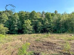 ������     �����, ����������