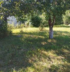 ������     ������, ����������� 33