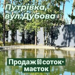  6-    ,  ., 
