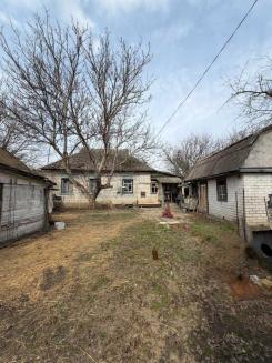 ������ 3-��������    �����, ϳ������