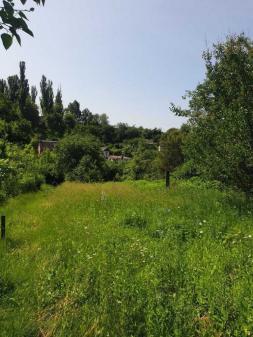 ������     ����� �������, ����� ��