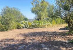 ������     ���������, �� ���������