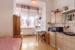 ������ 1-��������  ���, ������ �������� ���., 47�, ���������