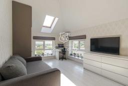 ������ 2-��������  �����, ������������, 1�