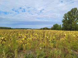 ������     , �/�