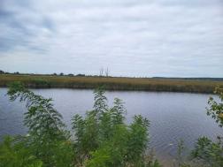 ������     , �/�