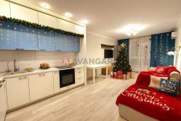 ������ 3-��������  ���, ������������� ����� �����., 43�, ����������