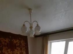  1-  ,  7, 