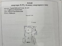  3-   ,    