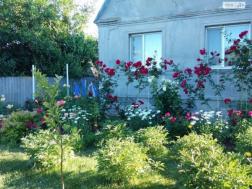 ������     ����������, �. �������, ���. �����, 80