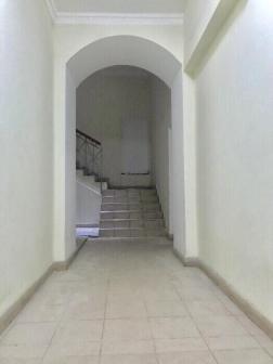  6-  ,   , 