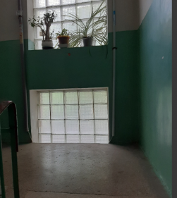  1-  ,  (25-  ) , 