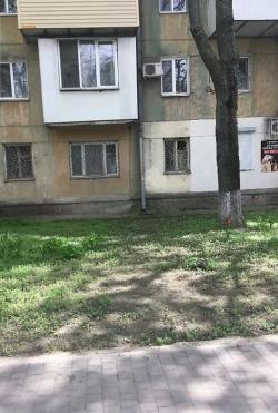  2-  ,  , 