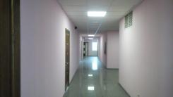  -   ,   () ., 58, 