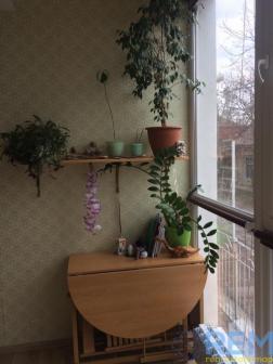  1-  ,  , 