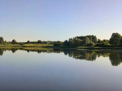 ������ 1-�� �����������  ���� , ������