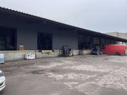 ������  �����, ������������