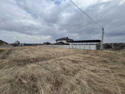 ������     ��������, ���������