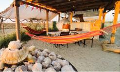 ������     ����������, ������������