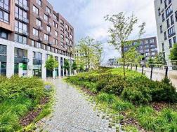 ������ 2-��������  ���, ������� ������, 2, �������������