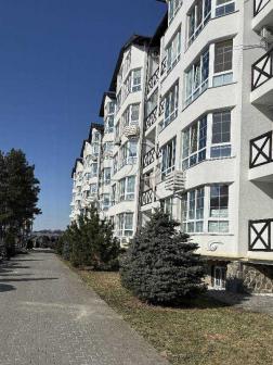 ������ 2-��������  �������, ����������, 3