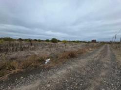 ������     , �����������