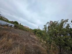 ������     , ��䳿