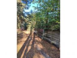 ������     ���������, ˳���, 10