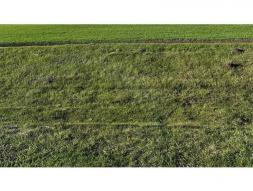 ������     , ����