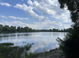 ������     ���������, ������������