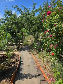 ������ 2-x �����������  ���� , �������