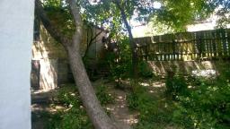 ������ 1-�� �����������  ���� ���, ��������� ��., 11, �����������