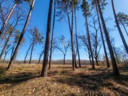 ������ �������� ������ ����� �����, ������������ ��������