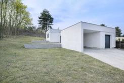 ������ 1-�� �����������  ���� ��������, ��������