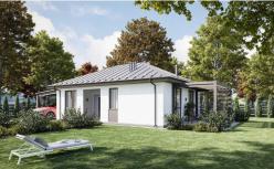 ������ 1-�� �����������  ���� ����������, ����������