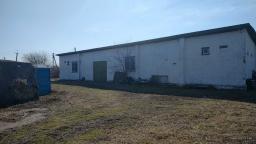 ������  �����, �������