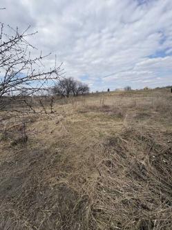 ������     , ���������