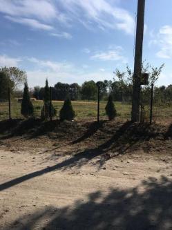 ������     , ������ 40